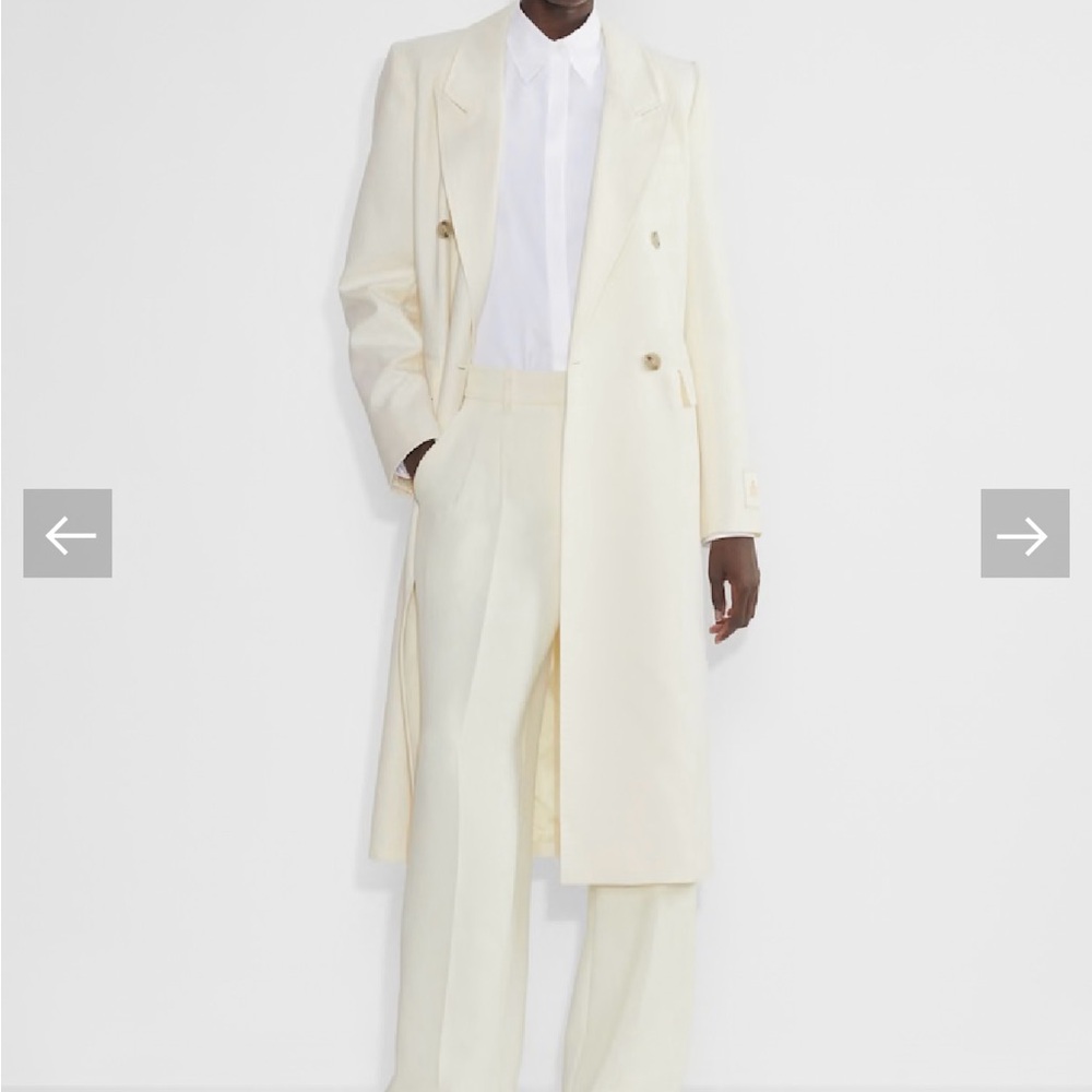 Aritzia Babaton Coat